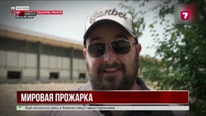 Экстремальная жара убивает птиц в Европе