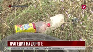Смертельное ДТП в Туркестанской области унесло пять жизней