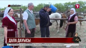 «Көкмайса» этнофестивалі: 500 бие сауылып, ондаған киіз үй тігілді