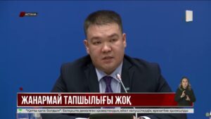 Энергетика вице-министрі: жанармай мен газ тапшылығы қаупі жоқ