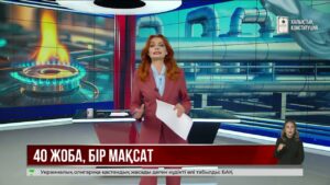 Табиғи газға қол жеткізетін халықтың үлесі 80% жетеді