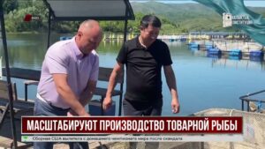 В ВКО втрое увеличат производство товарной рыбы