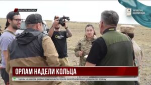 Степные орлы Жетысу стали объектом научного исследования