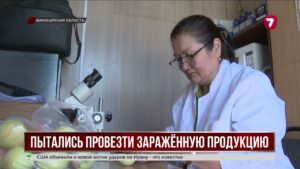 Опасную партию черешни и сливы вернули в Кыргызстан
