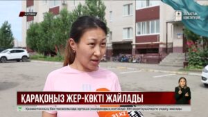 Ақтөбеде қара қоңыздар қаптап, үйлерге кіріп жатыр