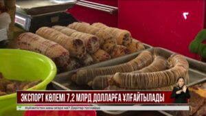 Президент Ауыл шаруашылығы министрін қабылдады