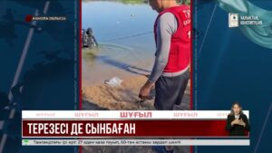Астана маңында әпкелі-сіңлілі екі қыз көлікпен бірге суға батып кетті