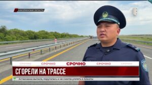 Смертельное ДТП на трассе Астана – Петропавловск унесло жизни трех человек