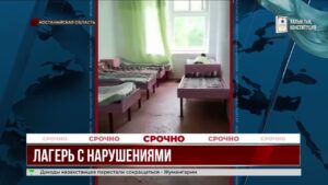 Суд приостановил работу лагеря «Светофор» из-за санитарных нарушений
