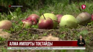 Елімізде алма импорты уақытша тоқтатылмақ