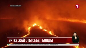 Ақмолада ірі дала өрті үш ауылды әбігерге салды