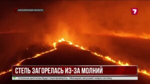 Крупный степной пожар тушат в Акмолинской области