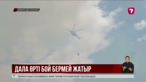 Қарқаралыдағы дала өрті 100 гектарға жуық аумақты шарпыды