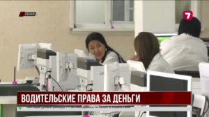 В Семее задержали 18 сотрудников ЦОНа по делу о продаже водительских прав