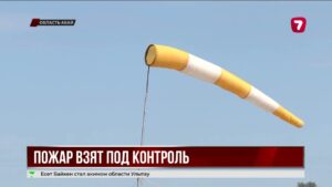 Лесной пожар в «Семей орманы» удалось взять под контроль