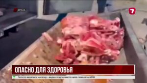 В Астане ликвидировали нелегальный цех по переработке мяса