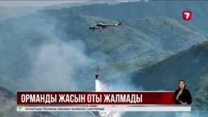 Қазақстанда бір тәулікте 55 орман өрті тіркелді