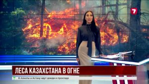 За сутки в Казахстане произошло 55 лесных пожаров