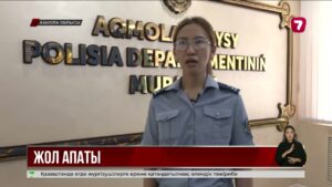 Ақмола облысында екі бірдей жол апаты адам өмірін қиды