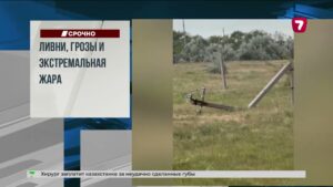 Ливни в Индии унесли жизни почти 30 человек