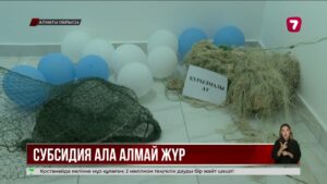 Алматы облысында балық өсірумен айналысатын шаруалар субсидия ала алмай жүр