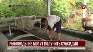 Рыбоводы Алматинской области ждут инвестиционные субсидии