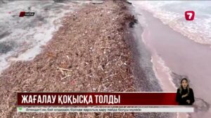 Венесуэлада хантавирустан үш адам көз жұмды
