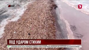 США увеличили оборонный бюджет до рекордного уровня