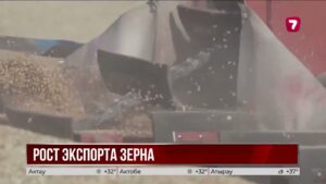 Казахстан увеличил экспорт зерна и муки на 16%