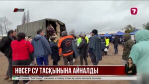 АҚШ-та электр бағанына өрмелеген аю тоққа түсіп өлді