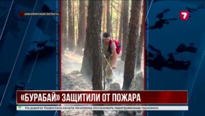 Лесной пожар в Бурабае удалось потушить спустя более двух суток