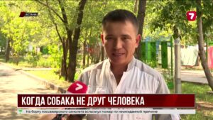 Нападение домашних собак на ребёнка в Астане вновь подняло вопрос безопасности