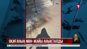 Павлодарда әйелдің басына мұз кесегі құлаған оқиғаға қатысты жаңа дерек шықты