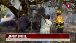 Что происходит в мире: пожары в Европе, землетрясение в Японии и ситуация вокруг Ирана
