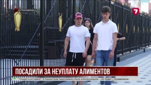 За долг по алиментам житель СКО отправился в колонию