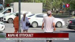 Жара до +40 и выше: синоптики предупреждают о новой волне зноя