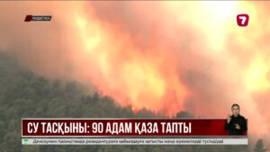 АҚШ-та орман өрті салдарынан 600-ге жуық ғимарат отқа оранды