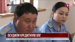 В Кокшетау вынесли приговор участникам крупной ОПГ
