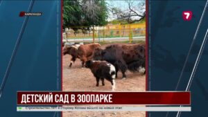В Карагандинском зоопарке пополнение малышей