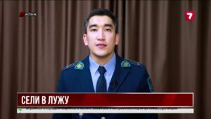 Пьяный «заплыв» в луже закончился арестом в Астане