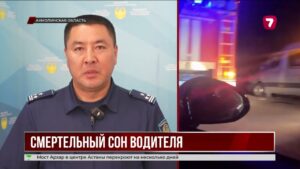 Смертельное ДТП на трассе Астана — Петропавловск: погибли супруги из Германии
