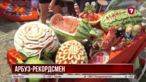Арбуз весом 21 килограмм стал рекордсменом фестиваля «Қарбыз думаны»