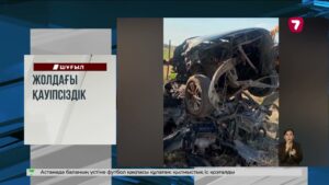 Қарағанды хайуанаттар бағындағы ара тотықұсы балапан басып шығарды