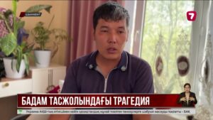 Мектепке киім алуға шыққан отбасы жол апатынан қаза тапты