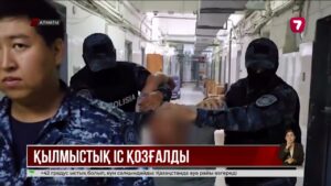 Алматыда жолдағы жанжал қылмыстық іске ұласты