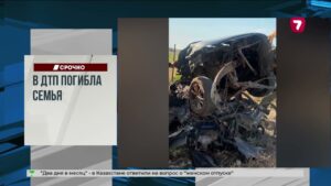 В Карагандинском зоопарке впервые вылупился птенец ара