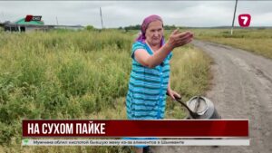 «Лишены элементарных благ»: жители села Плоское ждут питьевую воду