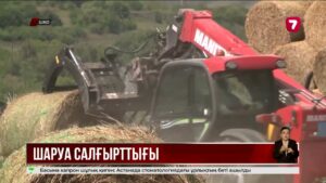 Биыл ШҚО-да шаруалардың 155 тонна шөбі жанып кетті