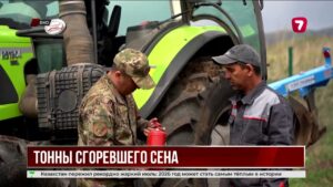 В ВКО сгорело 155 тонн сена из-за пожаров