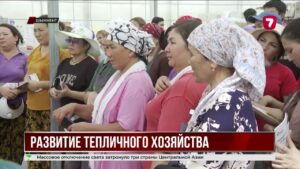 Партии продолжают агитацию перед выборами в Курултай